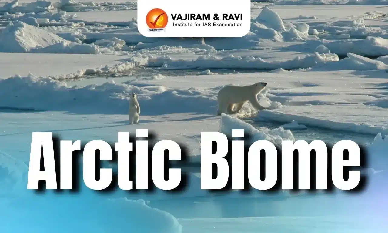 Arctic Biome