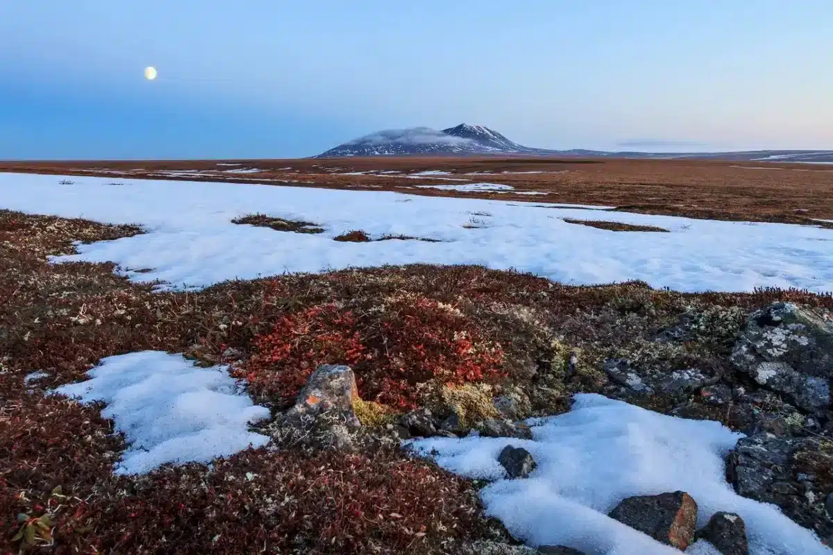 Arctic Tundra as a Carbon Source