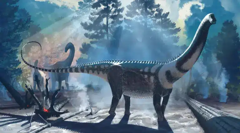 What is Ardetosaurus viator?