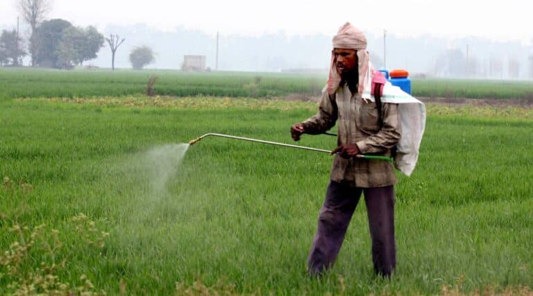 As Subsidy Soars, Govt Seeks Lower Gas Price for Fertilisers