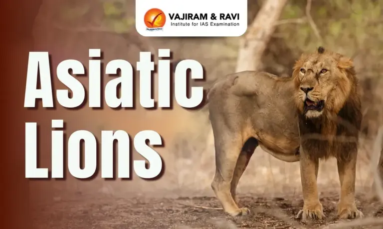 Asiatic Lions