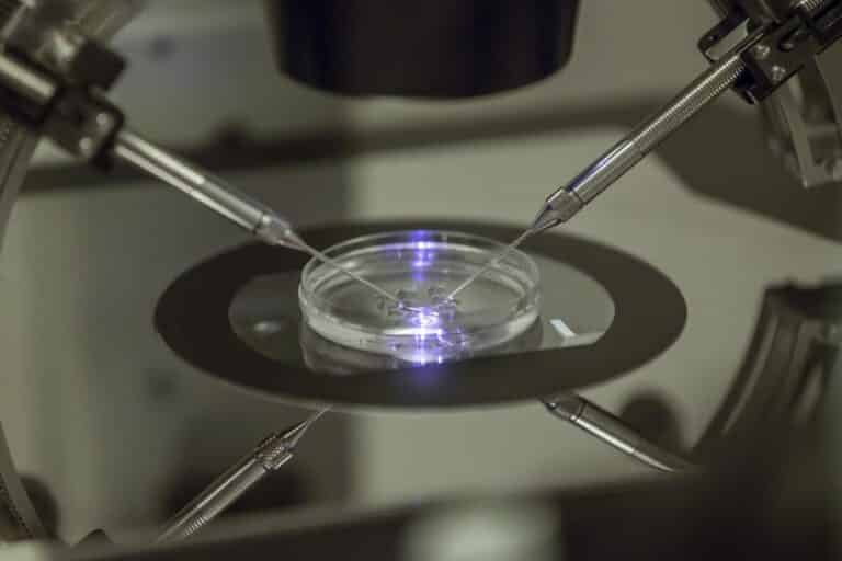 Assisted Reproductive Technology Regulations 2023