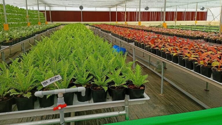 Atmanirbhar Clean Plant Program