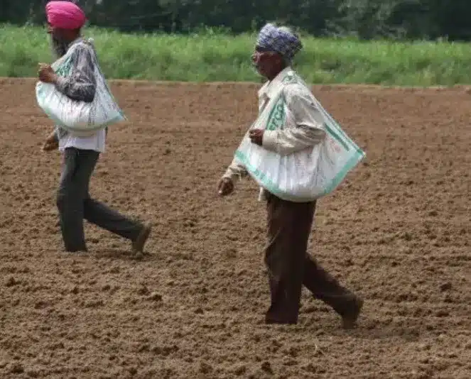 Balanced Fertilization