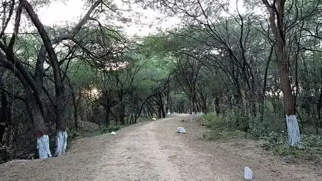 Barak Bhuban wildlife sanctuary