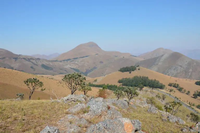 What is the Barberton Greenstone Belt?