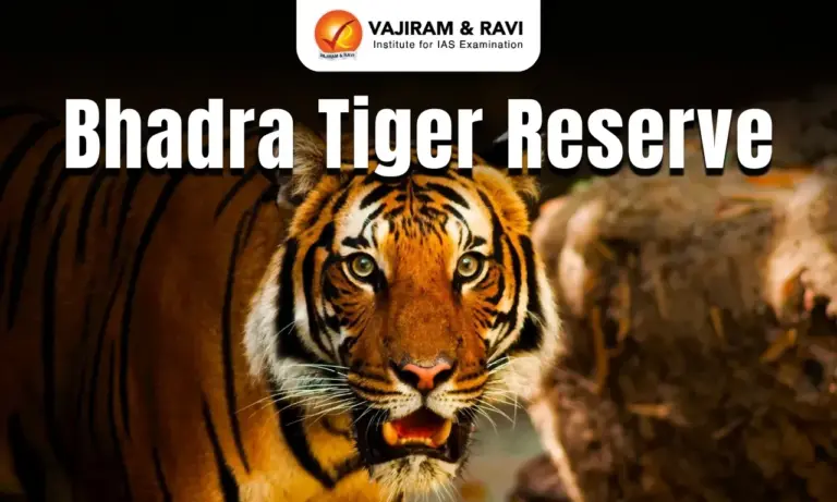 Bhadra Tiger Reserve