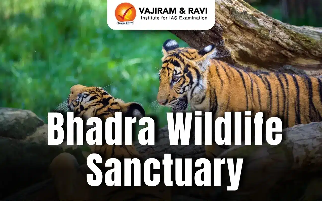 Bhadra Wildlife Sanctuary