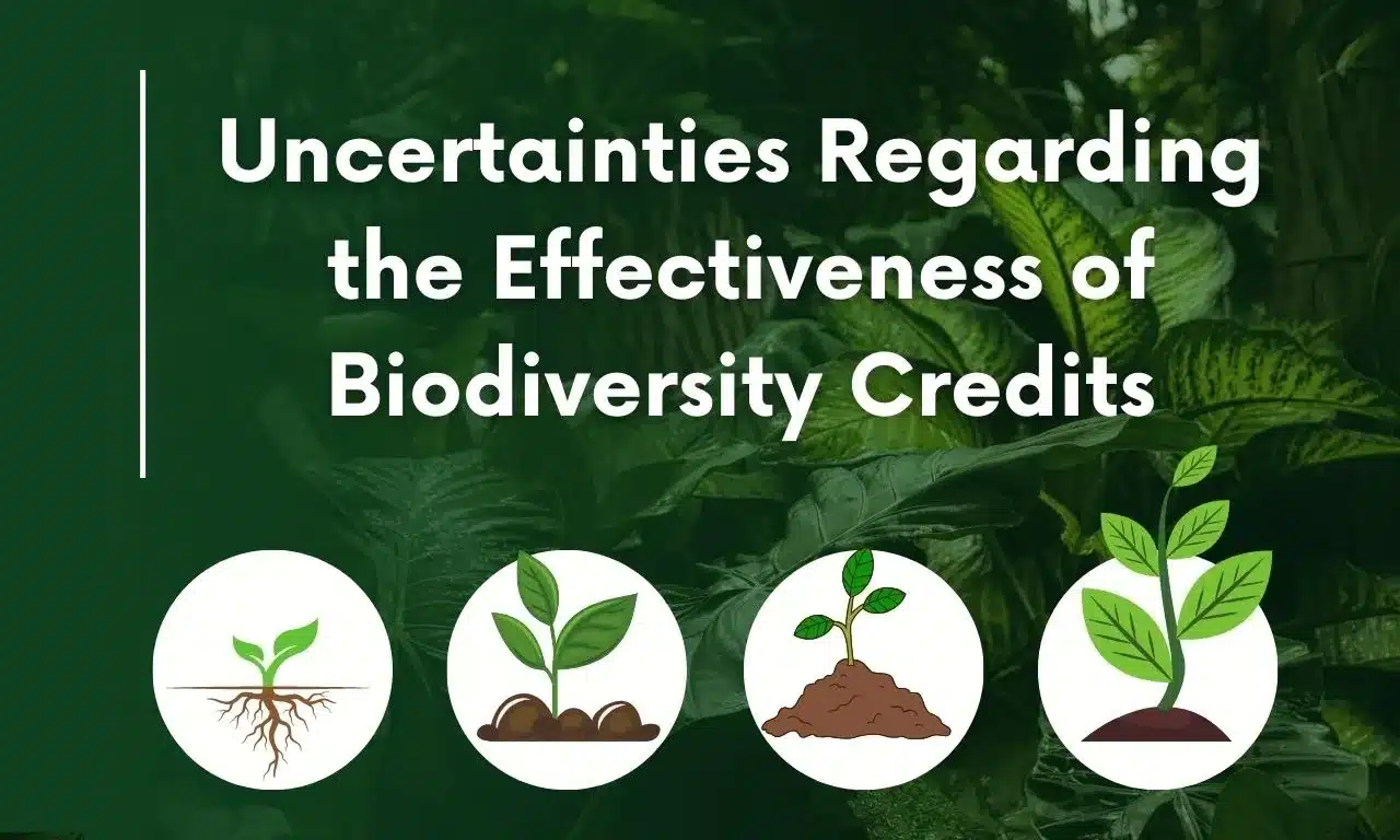 Biodiversity Credits