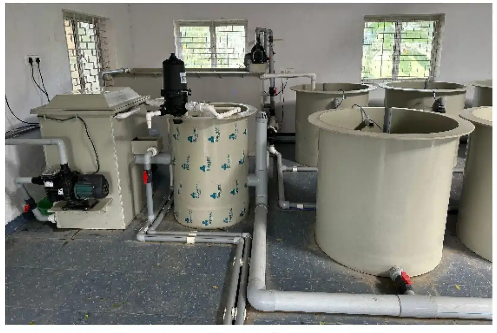 Biofloc Technology and Recirculating Aquaculture Systems