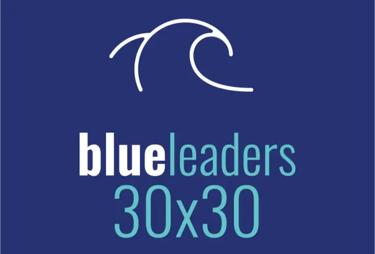 Blue Leaders