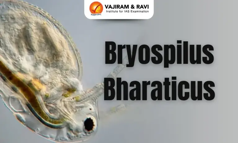 Bryospilus Bharaticus