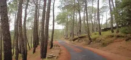 Binsar Wildlife Sanctuary