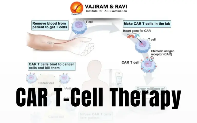 CAR T-Cell Therapy