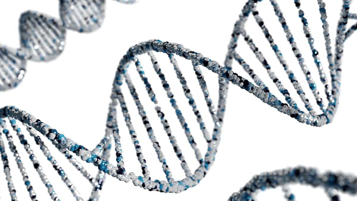 Cell-free DNA