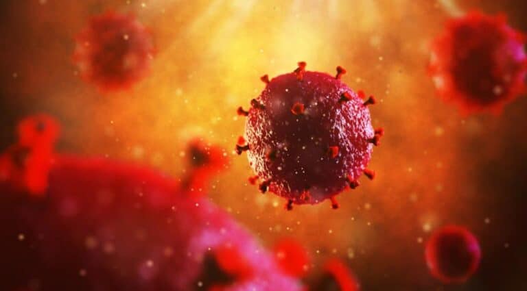 What is circular RNA?