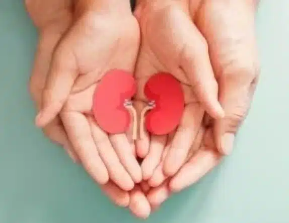 Complete transplant process in 6-8 weeks, says Delhi HC