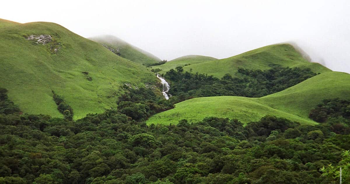 Conservation of the Western Ghats: What Madhav Gadgil and Kasturirangan Reports Recommended?