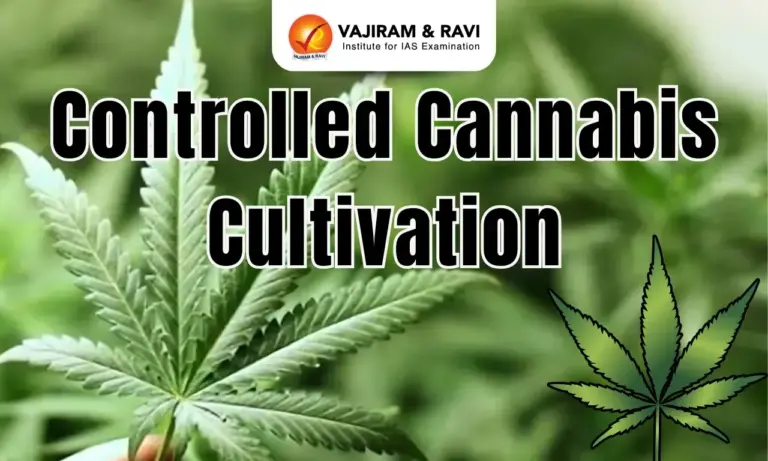 Controlled Cannabis Cultivation