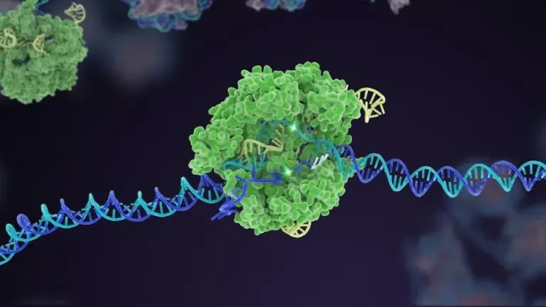 What is CRISPR/Cas9?