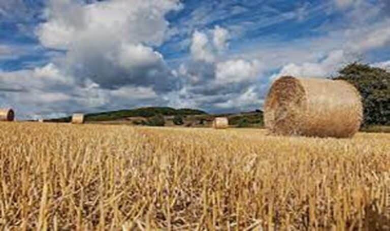 Crop Residue Management