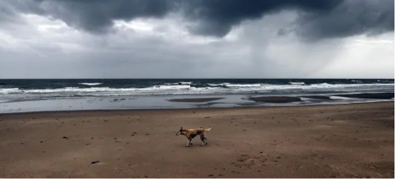 Cyclone Michaung to make landfall in Tamil Nadu