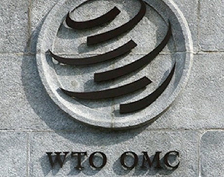 Dispute Settlement Body of WTO