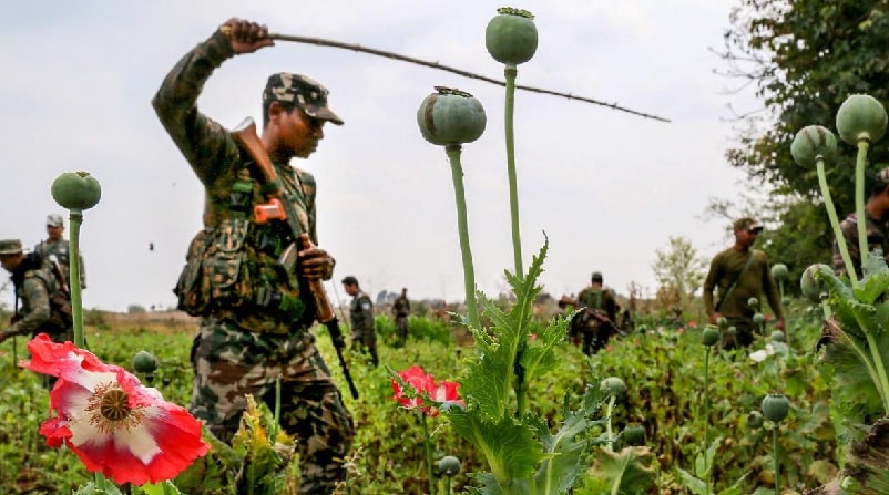 Drug Menace in India