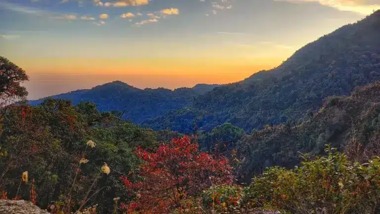 Eaglenest Wildlife Sanctuary