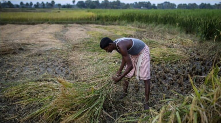 Economic Survey 2022-23: Agriculture sector needs ‘re-orientation’