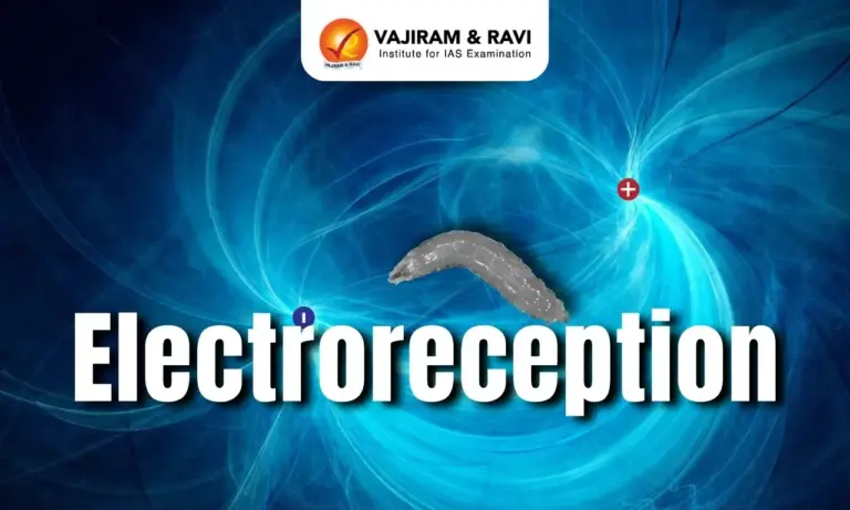 Electroreception