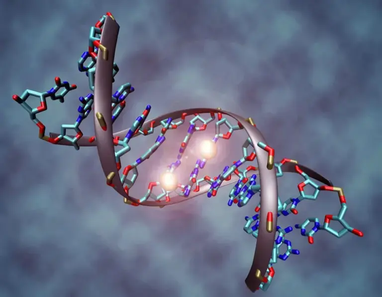 What is Epigenetics?