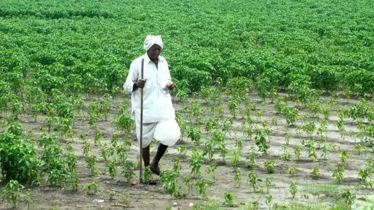 Explained | Significance of Primary Agriculture Credit Societies