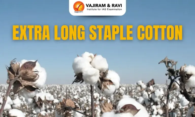 Extra Long Staple Cotton