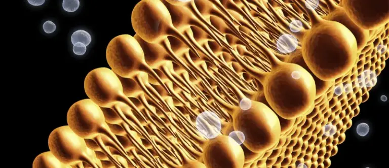 What is Ferroptosis?