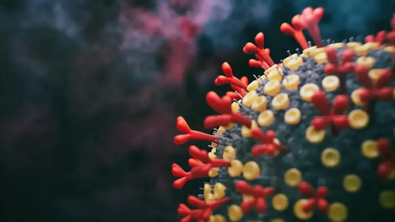 What are the FLiRT Variants?