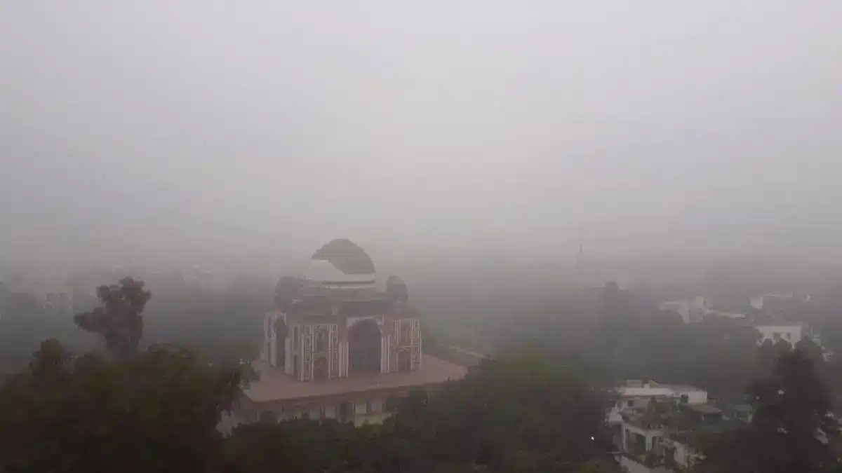 Why Did North India Fog So Heavily Last Week?