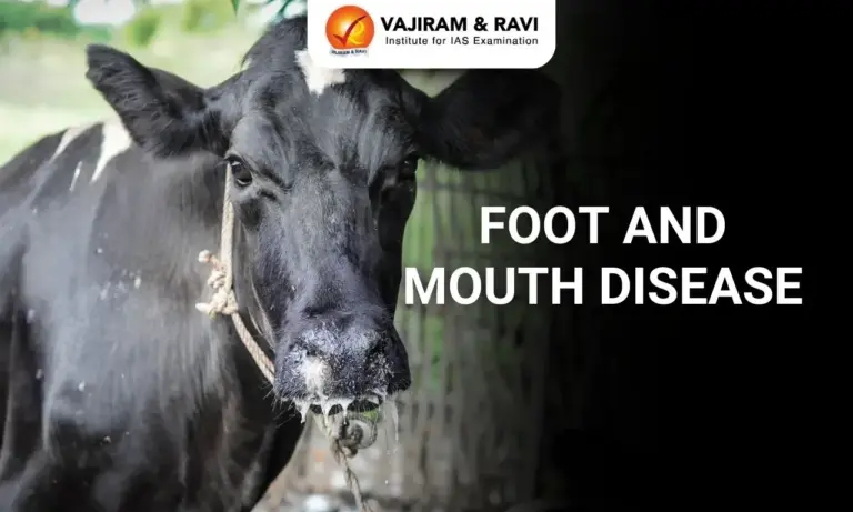 What is Foot and Mouth Disease (FMD)?