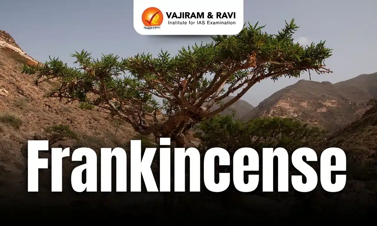 Frankincense