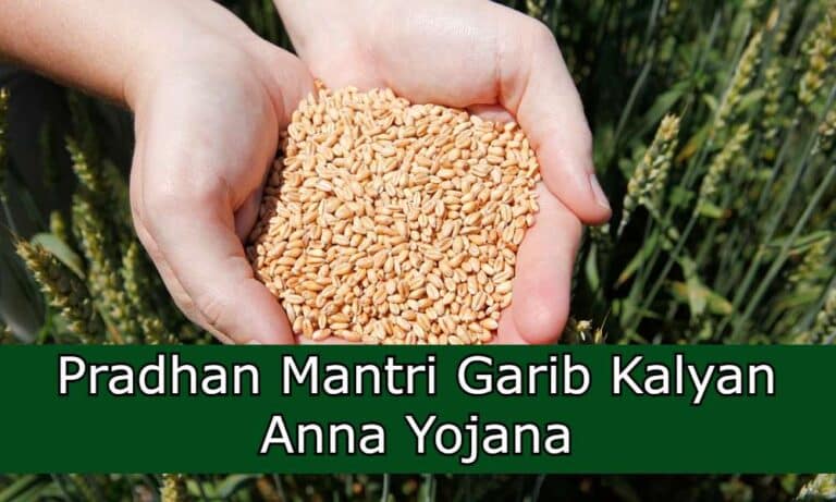 Free foodgrains for 81 crore people under NFSA