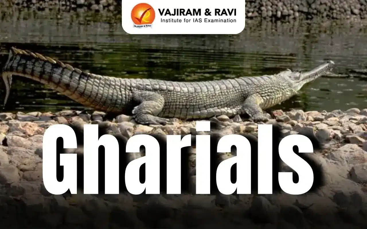 Gharials