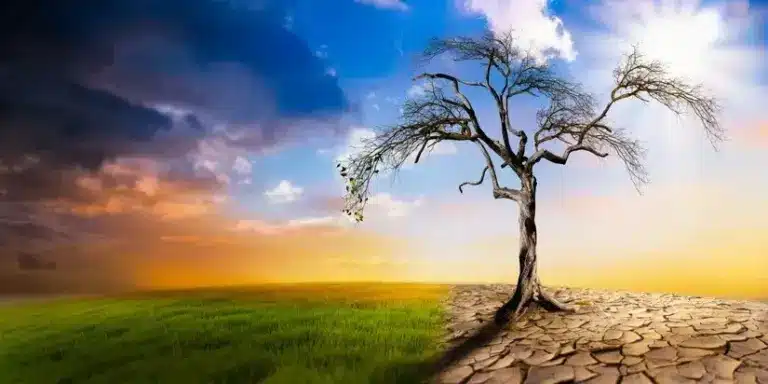 State of Global Climate Report 2023