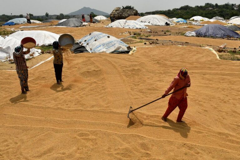 India's Grain Storage Plan