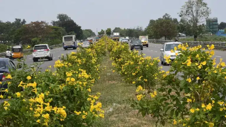 12 greening projects approved under the Green Credit Program (GCP)