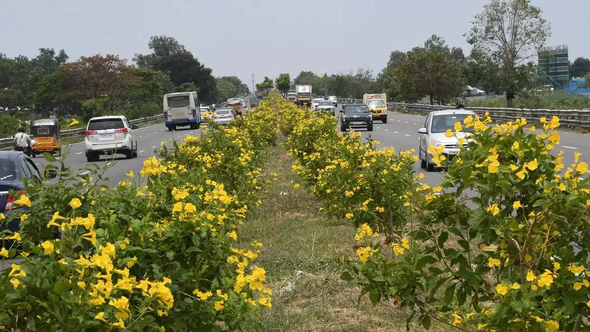 12 greening projects approved under the Green Credit Program (GCP)