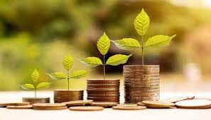 Green deposit: What are RBI regulations on green deposit?