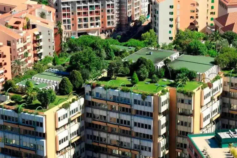 What are Green Roofs?