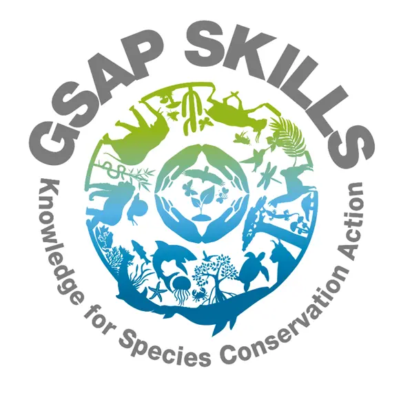 GSAP SKILLS Platform