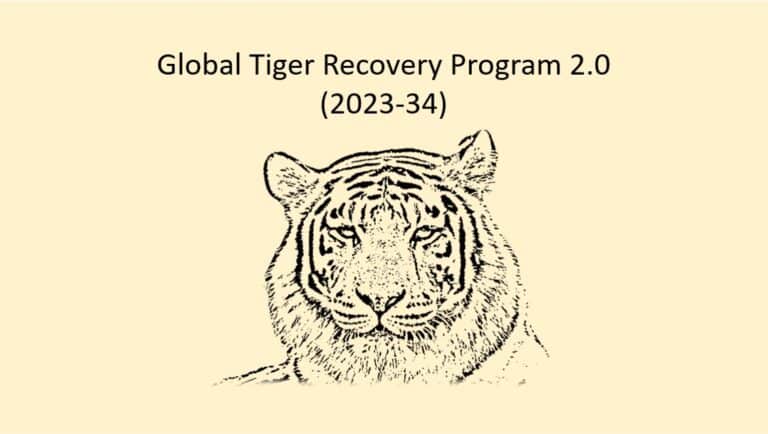 Global Tiger Recovery Program (GTRP)