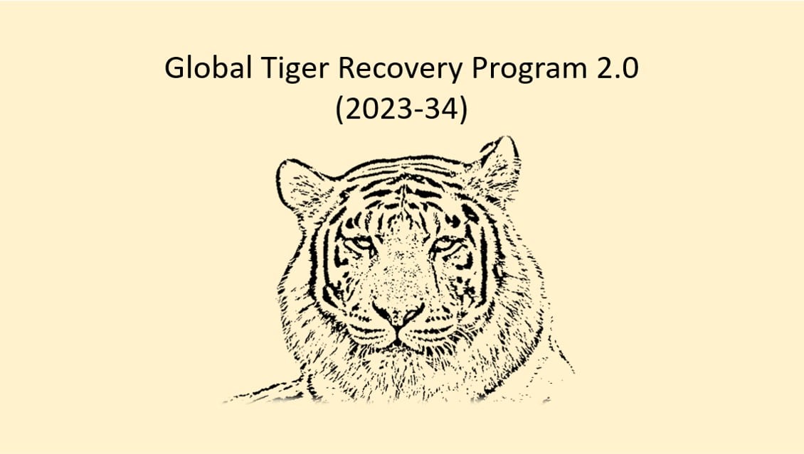 Global Tiger Recovery Program (GTRP)